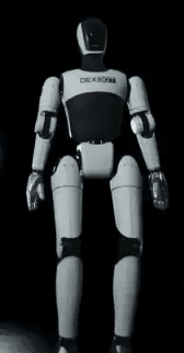 博实人形机器人